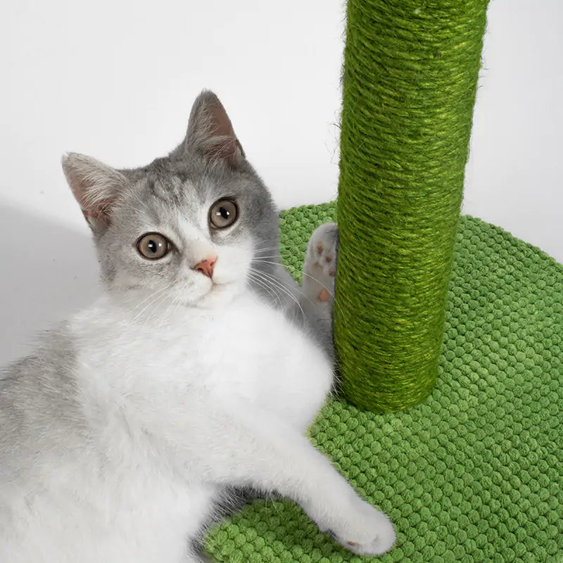 Cactus Cat Scratching Post