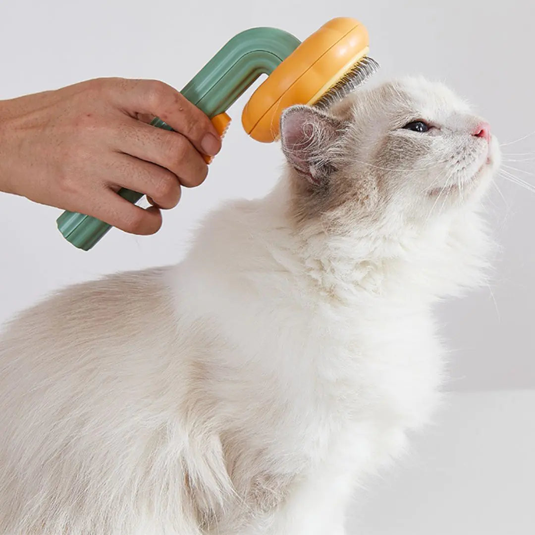 Cat Brush