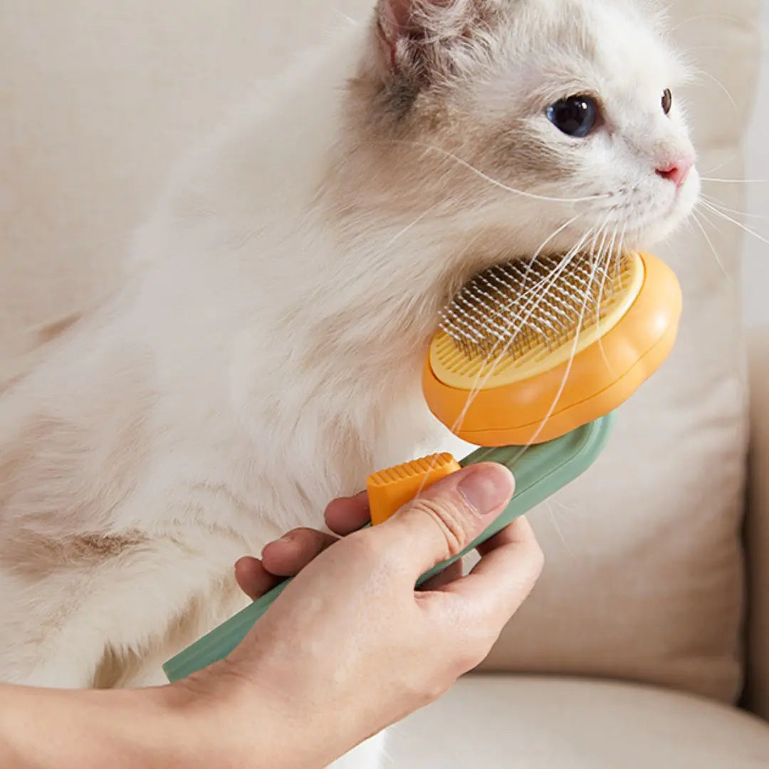 Cat Brush